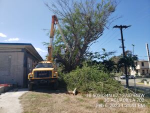 490074777-photo-2023-02-06-13-37-12-007