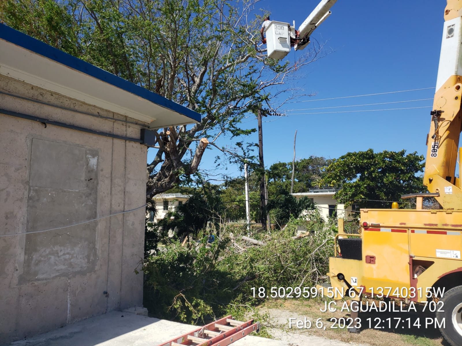 490074784-photo-2023-02-06-13-37-14