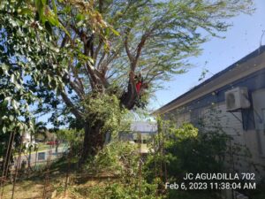 490074794-photo-2023-02-06-13-37-16