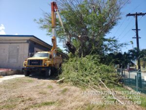 490074796-photo-2023-02-06-13-44-53-007