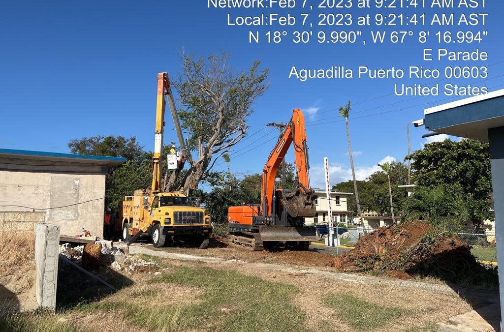 PRUNING AND SITE WORK IN BUILDING