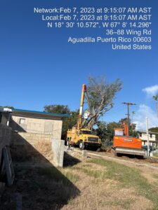 490074809-photo-2023-02-07-09-22-06