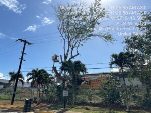 490074811-photo-2023-02-07-11-41-20-003