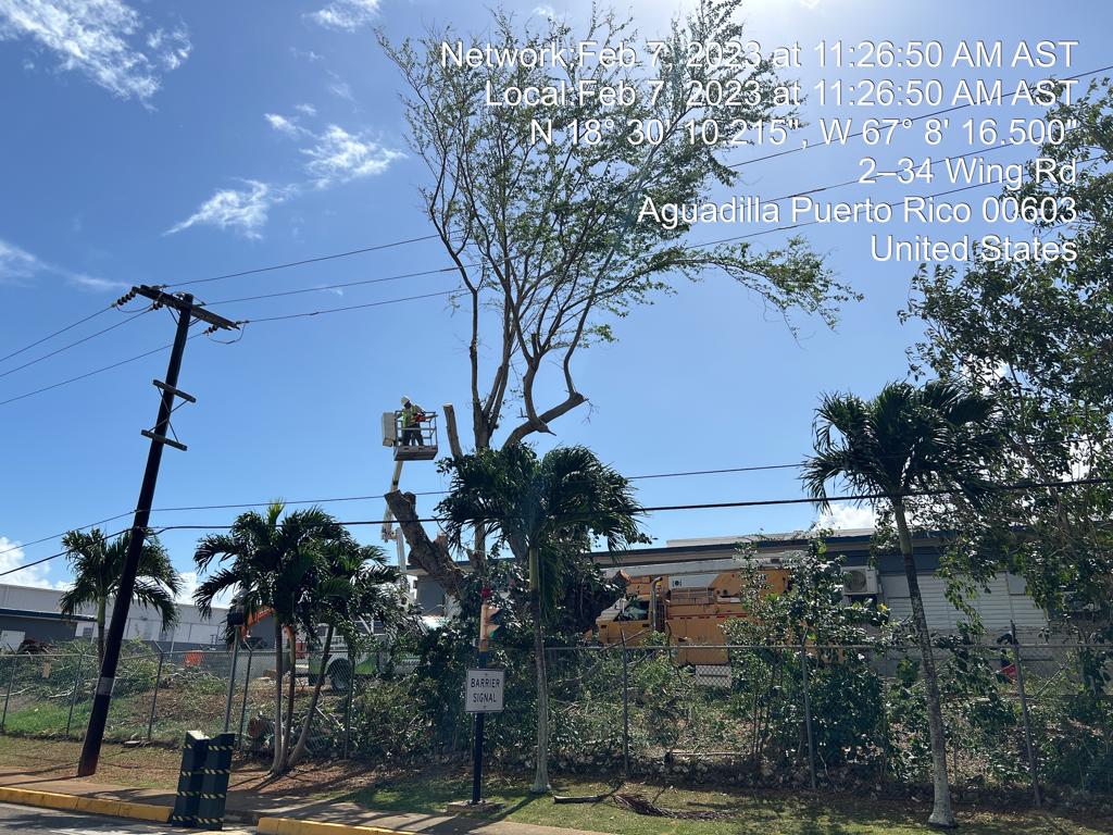 490074811-photo-2023-02-07-11-41-20-003