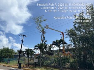 490074817-photo-2023-02-07-11-41-20-007