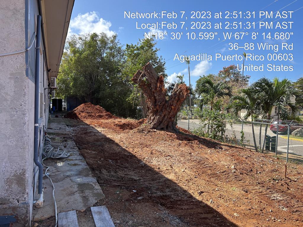 490074826-photo-2023-02-07-15-25-27-007