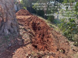 490074831-photo-2023-02-07-15-25-27