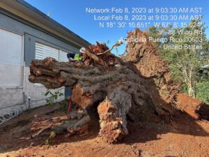 490074844-tc_00861-4-12-2023