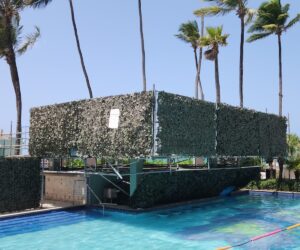 718036609-photo-2024-08-19-14-32-00